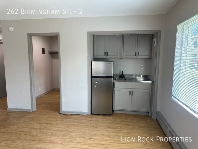 262 Birmingham St in St. Paul, MN - Building Photo - Building Photo