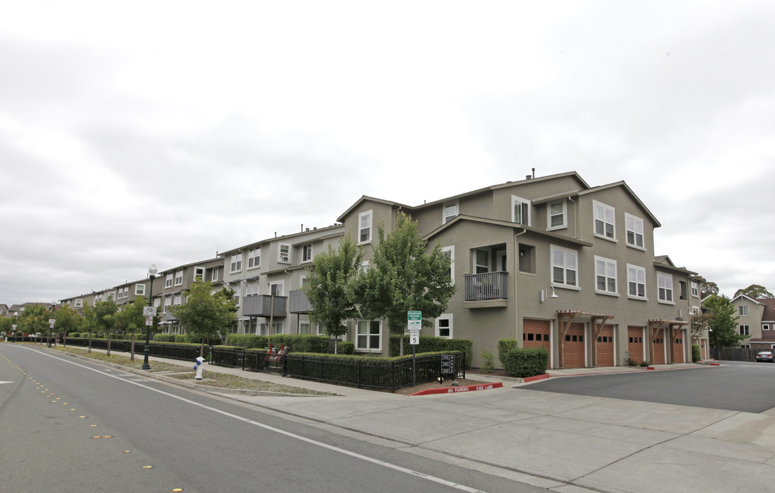 Monte Vista Apartments in Santa Rosa, CA - Building Photo