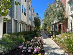 918 Arietta Dr in Mountain View, CA - Foto de edificio - Building Photo