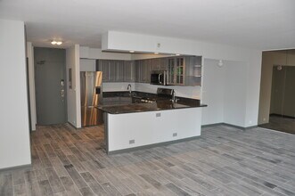 1000 N Lake Shore Dr in Chicago, IL - Building Photo - Building Photo