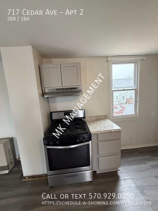 717 Cedar Ave in Scranton, PA - Building Photo - Building Photo