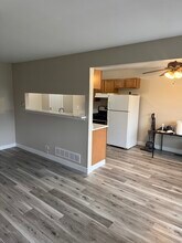 1135 Mt Vernon Ct in Wheaton, IL - Building Photo - Building Photo