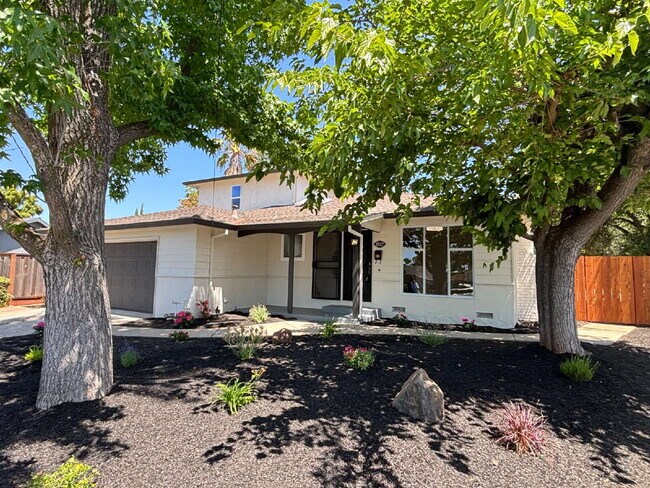 5577 Ohio Ct in Concord, CA - Building Photo - Building Photo
