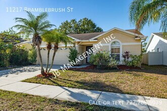 11217 Bramblebrush St in Tampa, FL - Building Photo - Building Photo