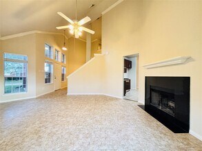 16318 Bettong Ct in Sugar Land, TX - Foto de edificio - Building Photo