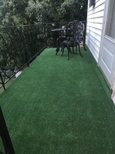 178 Vernon Ave, Unit 1stFloor in Yonkers, NY - Building Photo - Building Photo