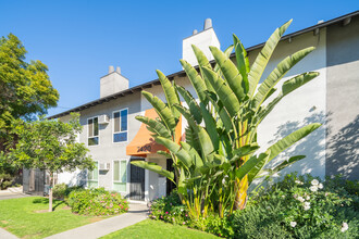 Woodman Apartments in Van Nuys, CA - Building Photo - Building Photo