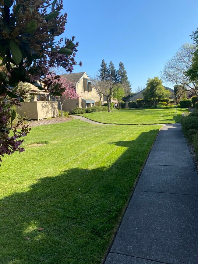 7631 Camino Colegio Rentals in Rohnert Park, CA