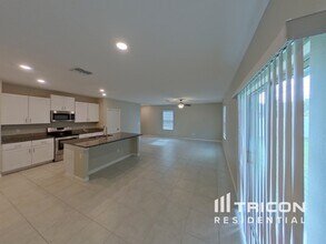 13335 Willow Bluestar Lp in Riverview, FL - Foto de edificio - Building Photo