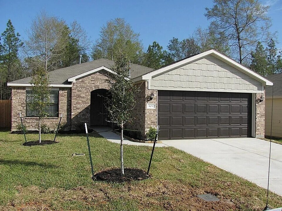 803 Lovebug Ln in Conroe, TX - Building Photo
