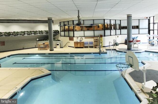 5901 Mount Eagle Dr, Unit 1517 in Alexandria, VA - Building Photo - Building Photo