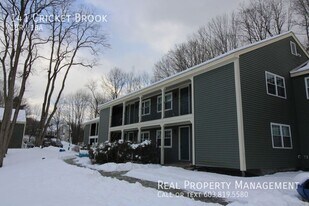 141 Cricket Brook in Dover, NH - Building Photo