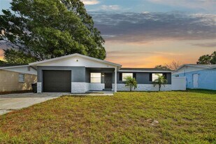 1411 Coppertree Dr in Tarpon Springs, FL - Building Photo