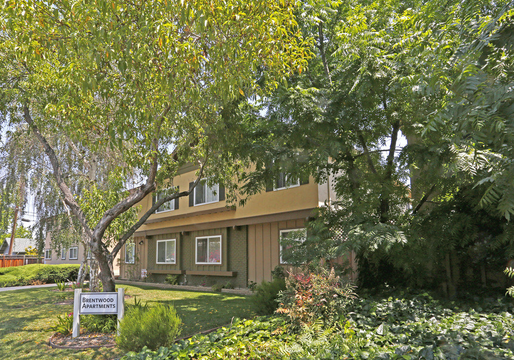 Brentwood Apartments in Santa Clara, CA - Foto de edificio