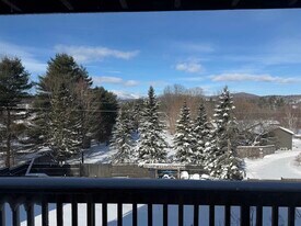 473 Maple St in Stowe, VT - Building Photo