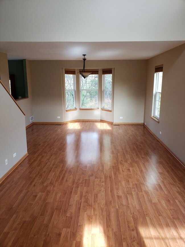 523 Shakespeare Dr in Grayslake, IL - Building Photo - Building Photo