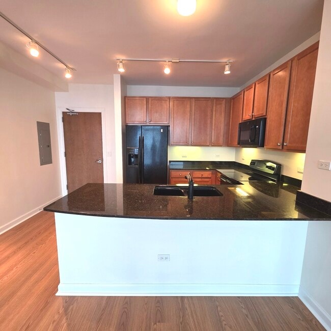 1841 S Calumet Ave in Chicago, IL - Building Photo - Building Photo