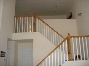 2815 Golden Wheat Ln in Fort Collins, CO - Foto de edificio - Building Photo