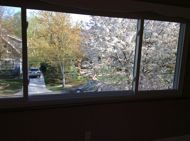 20 Chalfonte Pl, Unit Upstairs in Fort Thomas, KY - Building Photo - Building Photo