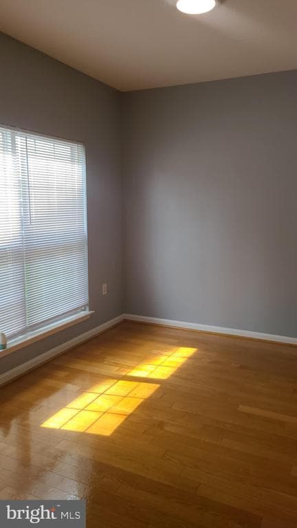 1912 Gardenia Ct in Odenton, MD - Building Photo - Building Photo