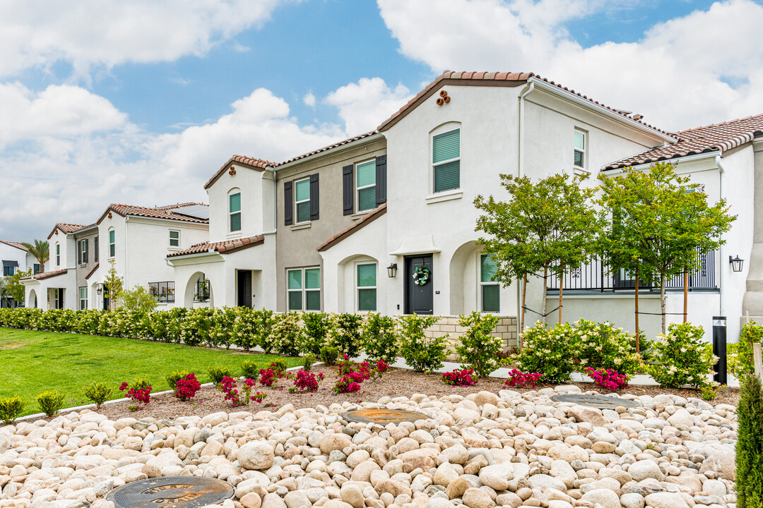 San Carlo Townhomes in Highland, CA - Building Photo