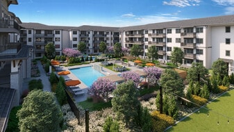 Solea Lewisville 55+