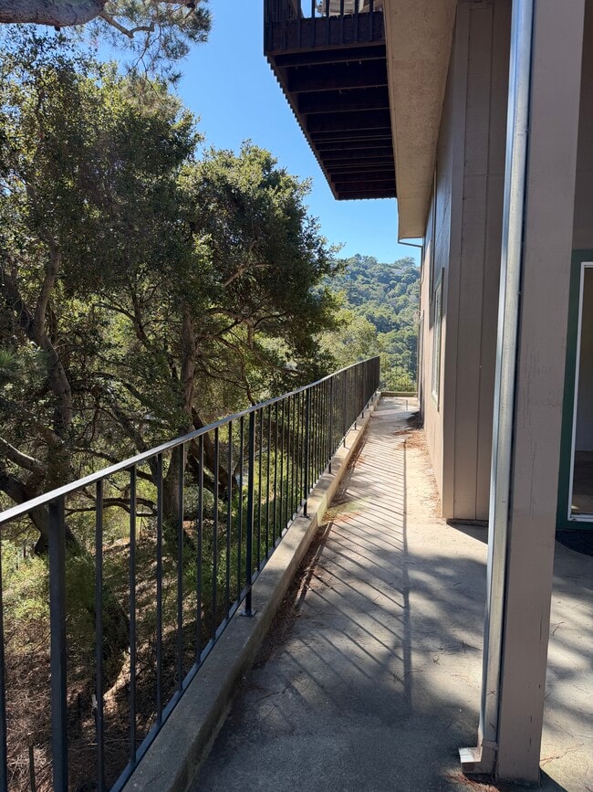 2821 San Ardo Way in Belmont, CA - Building Photo - Building Photo