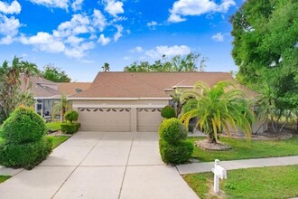 223 Rosana Dr in Brandon, FL - Foto de edificio - Building Photo