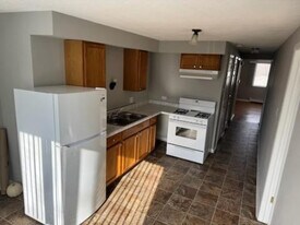 7151 170th St in Tinley Park, IL - Building Photo