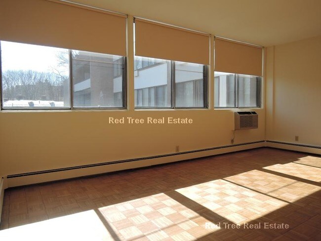 1455 Commonwealth Avenue photo'