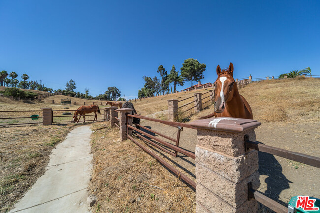 42880 Brown Rd in Murrieta, CA - Building Photo - Building Photo