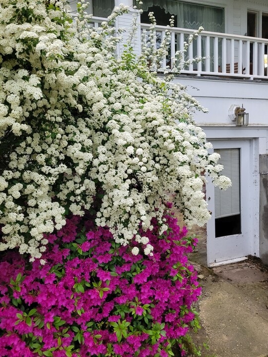 12941 NW Newberry Rd, Unit 1 bed Basement Apartment in Portland, OR - Foto de edificio