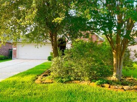 6 Dragon Hill Pl in Spring, TX - Building Photo