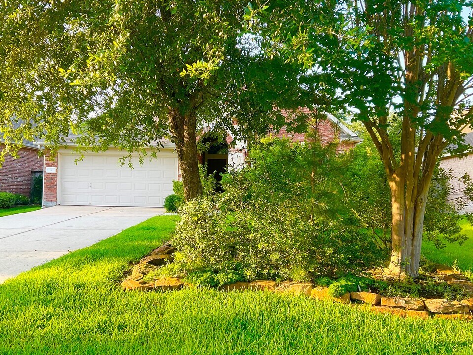 6 Dragon Hill Pl in Spring, TX - Building Photo