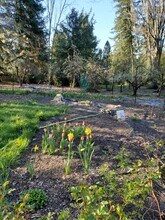 920 SW Stephenson Ct in Portland, OR - Foto de edificio - Building Photo