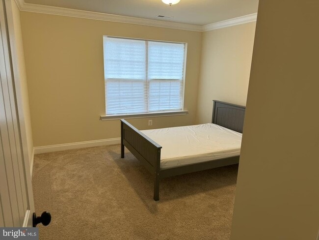 7986 Benjamin Stoddert Ct in La Plata, MD - Building Photo - Building Photo