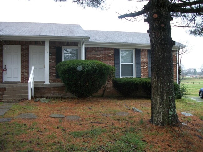 property at 224 Drifting Cir