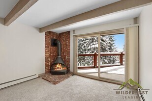 7213 Ryan Gulch Rd in Silverthorne, CO - Building Photo