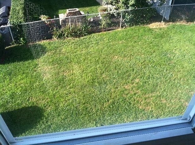 61 Adamson St, Unit 1, Unit 1