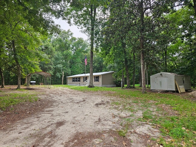 2916 Guava Ct in Middleburg, FL - Building Photo - Building Photo