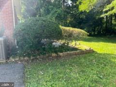 11503 Mapleview Dr in Silver Spring, MD - Building Photo - Building Photo