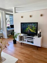 211 E Ohio St, Unit 1206 in Chicago, IL - Building Photo - Building Photo