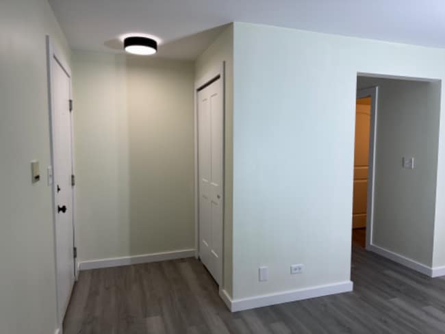 323 Sheffield Ct in Roselle, IL - Foto de edificio - Building Photo