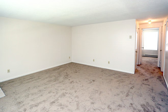 Lois Lane Apartments in Norfolk, VA - Building Photo - Building Photo