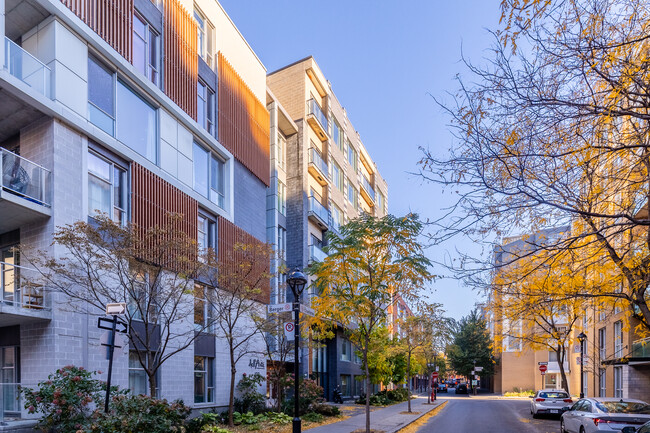 Zendo Condominium in Montréal, QC - Building Photo - Building Photo