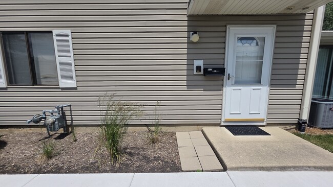 317 Whidah Ct in Schaumburg, IL - Foto de edificio - Building Photo