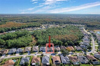 14639 Coral Berry Dr in Tampa, FL - Building Photo - Building Photo