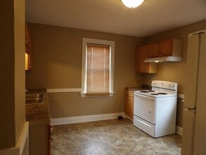 419 N Lemon Ave in Freeport, IL - Building Photo - Building Photo