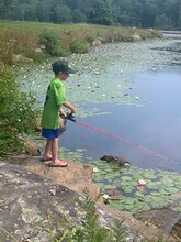 336 Woodville Rd in Hopkinton, RI - Building Photo - Building Photo