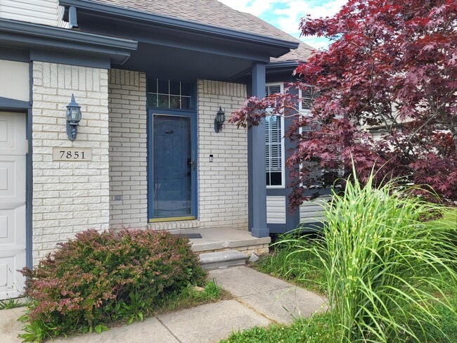 7851 Thornhill Dr in Ypsilanti, MI - Building Photo - Building Photo